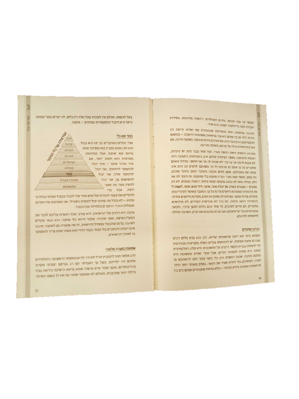 10 טעויות טיפשיות שעושים זוגות חכמים בן ציון שפיר