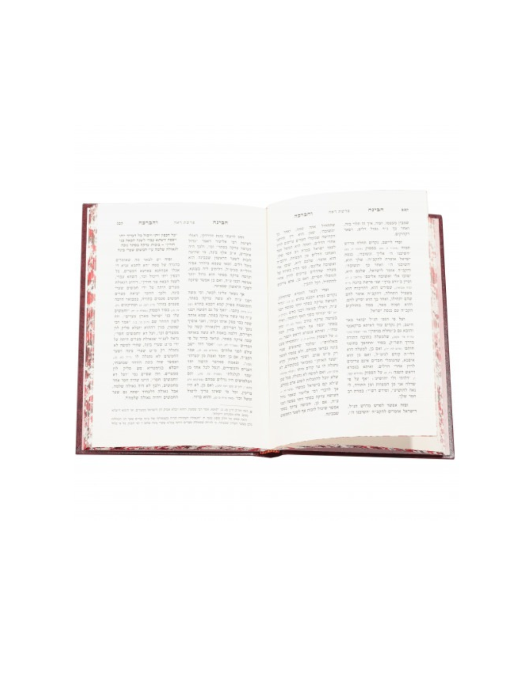 הבינה והברכה – ה”כ עה”ת בעלזא