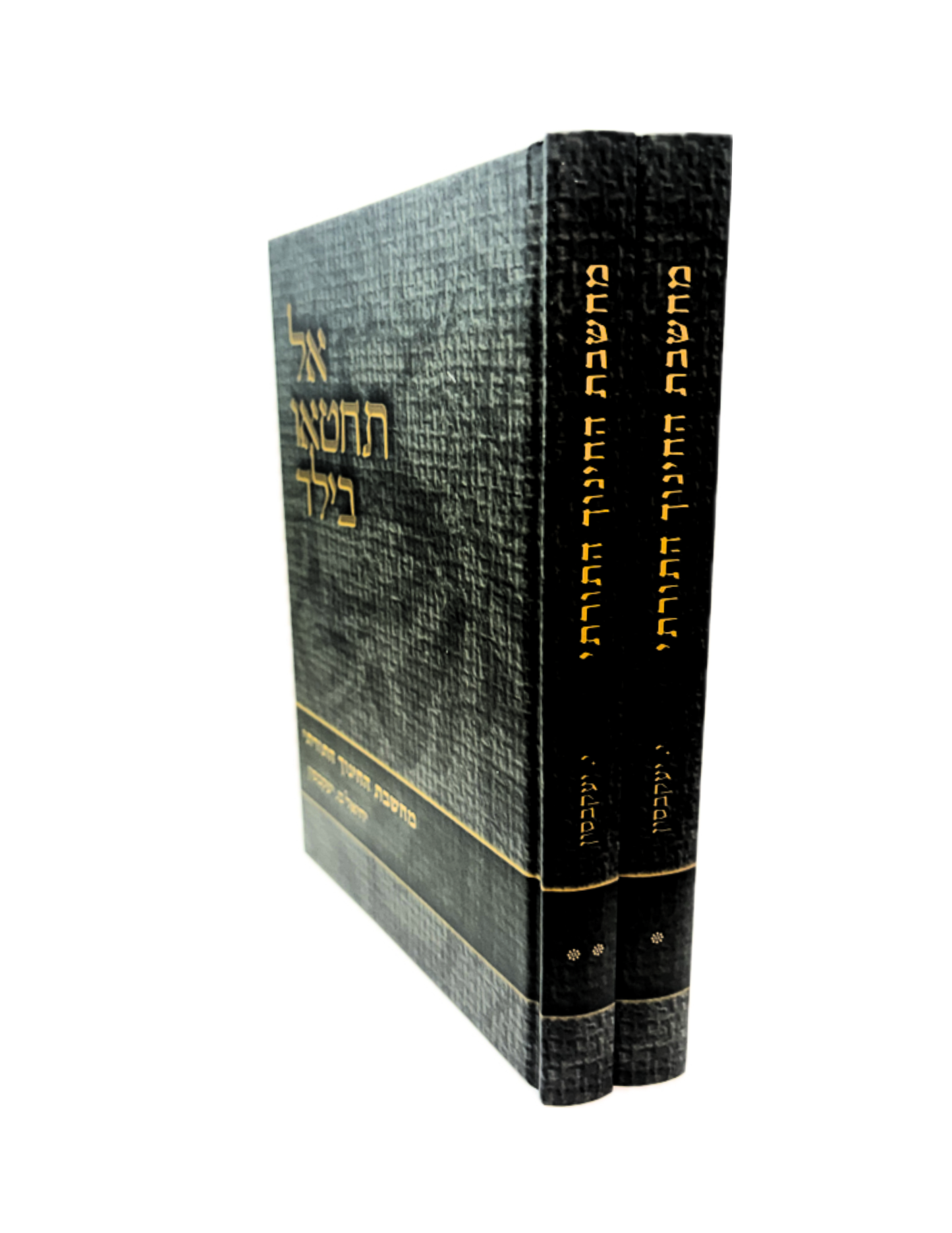 אל תחטאו בילד -מחשבת החינוך התורתי -ב''כ