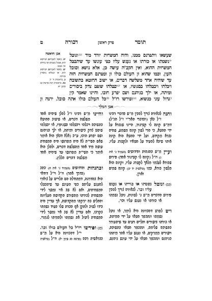 תומר דבורה עם מקורות וביאורים -פירוש אבן המלך ר' אברהם אביש ציינווירטה שליט''א