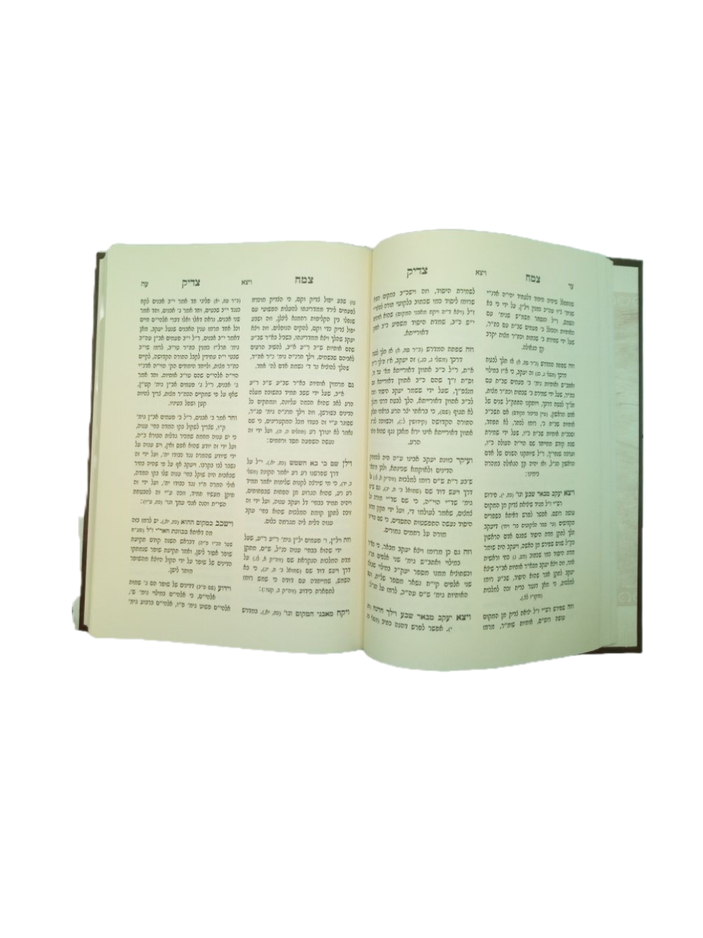 צמח צדיק -עה''ת ומועדים -וויזניץ