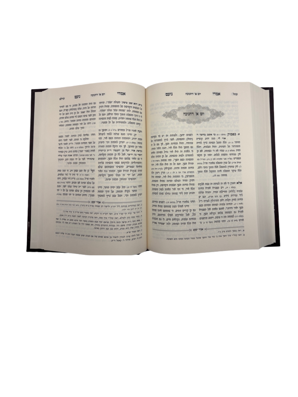 אמרי נועם -דזיקוב -מועדים -ב''כ -עם ציונים והשוואות