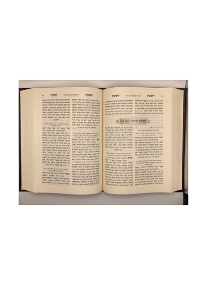 תשובות והנהגות תעניות תשעה באב בית המקדש וארץ ישראל