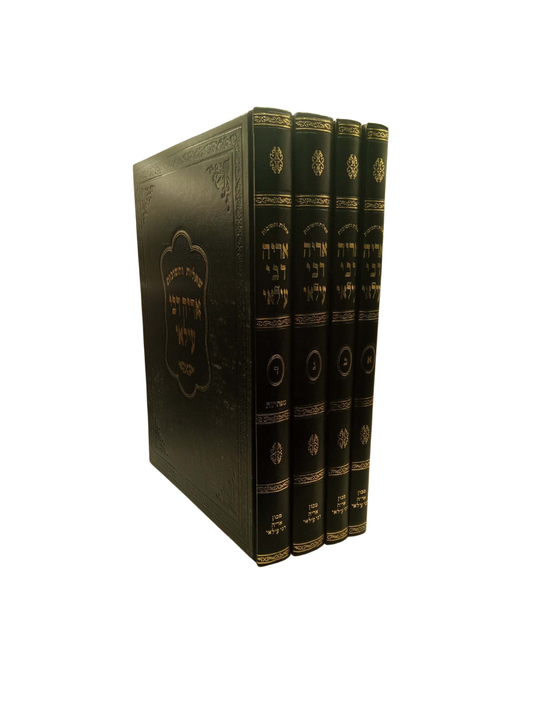 שו''ת אריה דבי עילאי -ד''כ