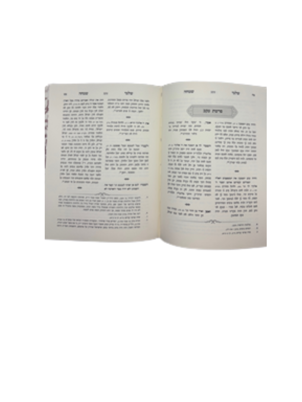 שלמי שמחה -פרשיסחא