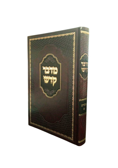מדבר קדש החדש -מועדים -חלק א