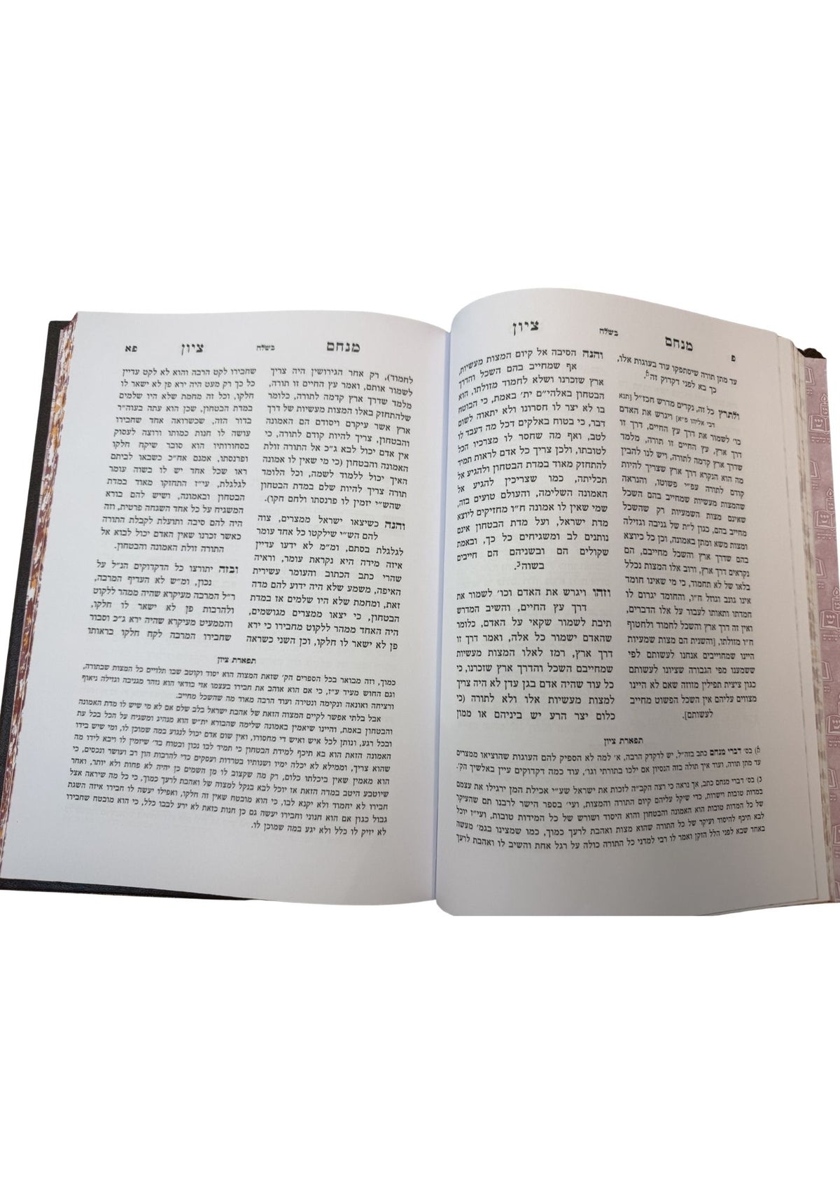 מנחם ציון על התורה -הצבי והצדק