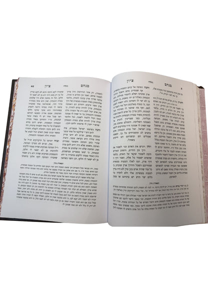 מנחם ציון על התורה -הצבי והצדק