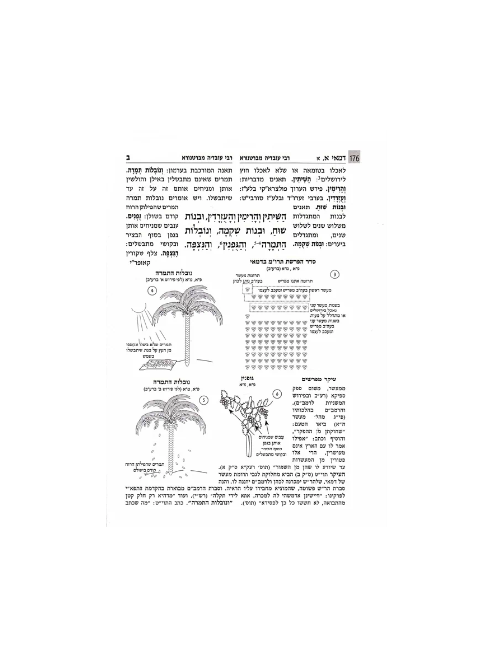 משנה בהירה -סעט כ''א כרכים